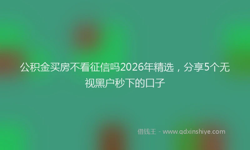 公积金买房不看征信吗2026年精选，分享5个无视黑户秒下的口子
