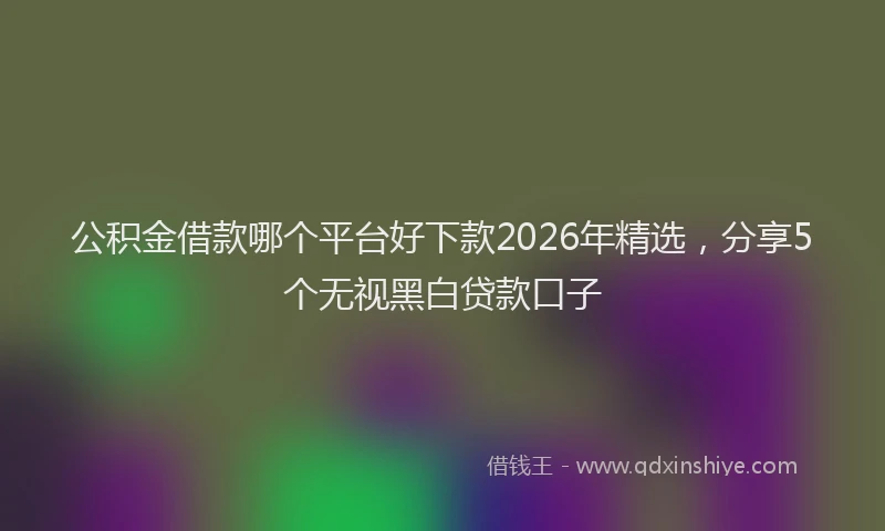 公积金借款哪个平台好下款2026年精选，分享5个无视黑白贷款口子