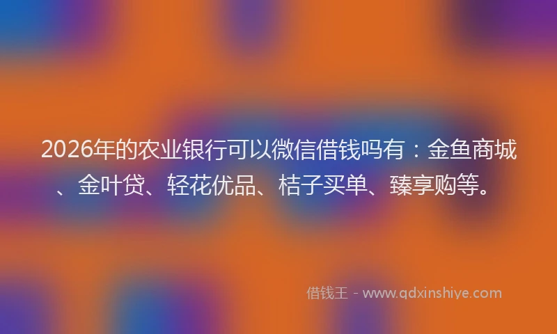 2026年的农业银行可以微信借钱吗有:金鱼商城、金叶贷、轻花优品、桔子买单、臻享购等。