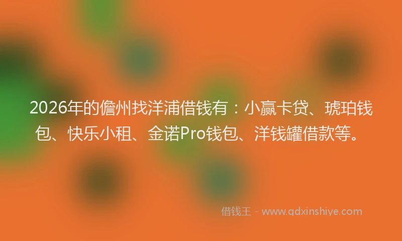 2026年的儋州找洋浦借钱有：小赢卡贷、琥珀钱包、快乐小租、金诺Pro钱包、洋钱罐借款等。