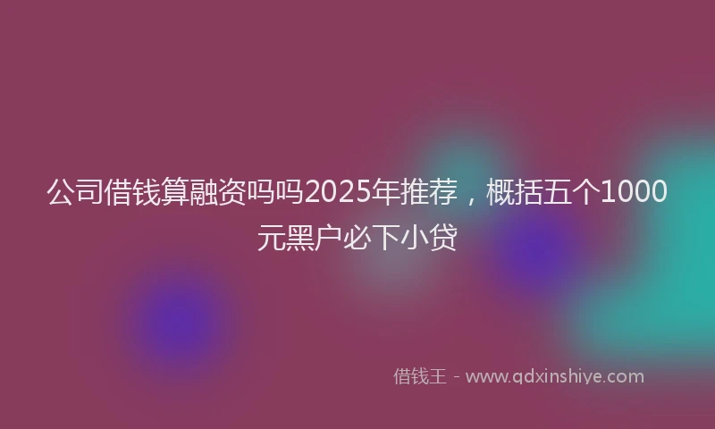 公司借钱算融资吗吗2025年推荐，概括五个1000元黑户必下小贷