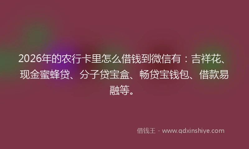 2026年的农行卡里怎么借钱到微信有：吉祥花、现金蜜蜂贷、分子贷宝盒、畅贷宝钱包、借款易融等。
