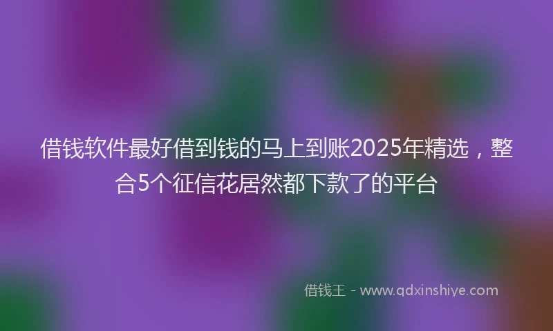 借钱软件最好借到钱的马上到账2025年精选,整合5个征信花居然都下款了的平台