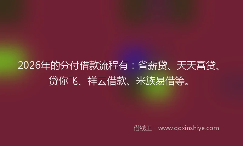 2026年的分付借款流程有：省薪贷、天天富贷、贷你飞、祥云借款、米族易借等。