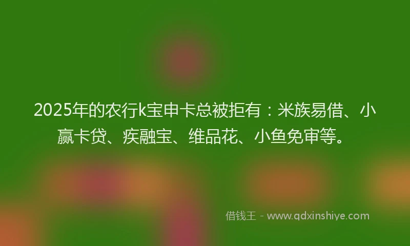 2025年的农行k宝申卡总被拒有:米族易借、小赢卡贷、疾融宝、维品花、小鱼免审等。