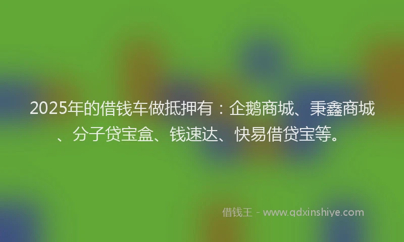2025年的借钱车做抵押有：企鹅商城、秉鑫商城、分子贷宝盒、钱速达、快易借贷宝等。