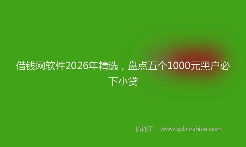 借钱网软件2026年精选，盘点五个1000元黑户必下小贷