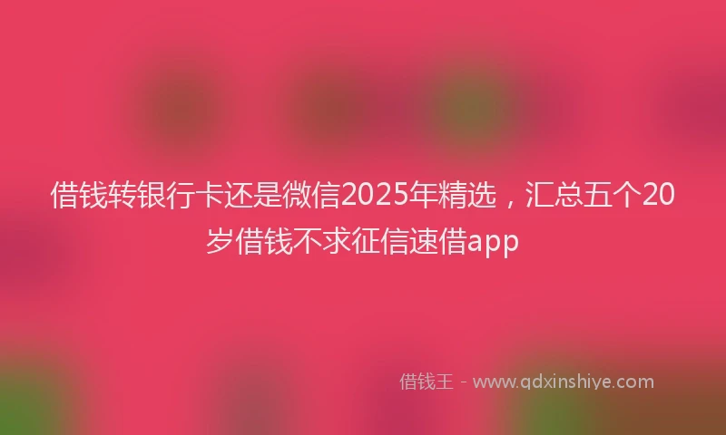 借钱转银行卡还是微信2025年精选，汇总五个20岁借钱不求征信速借app