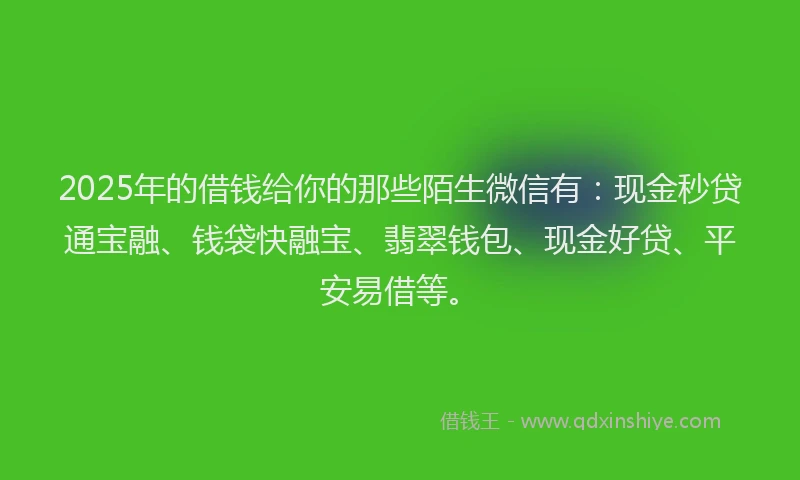2025年的借钱给你的那些陌生微信有：现金秒贷通宝融、钱袋快融宝、翡翠钱包、现金好贷、平安易借等。