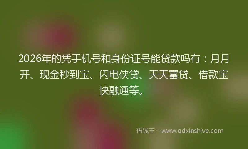2026年的凭手机号和身份证号能贷款吗有：月月开、现金秒到宝、闪电侠贷、天天富贷、借款宝快融通等。