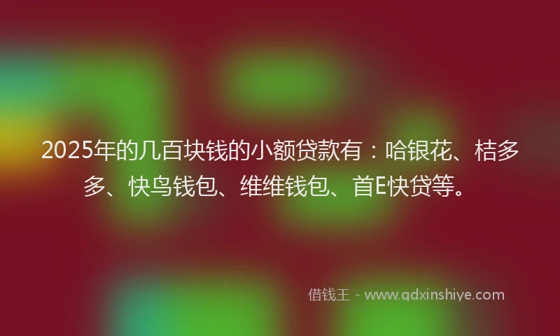 2025年的几百块钱的小额贷款有：哈银花、桔多多、快鸟钱包、维维钱包、首E快贷等。