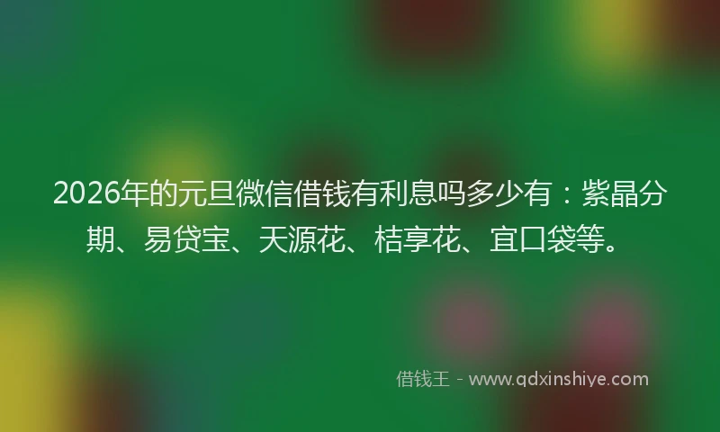 2026年的元旦微信借钱有利息吗多少有:紫晶分期、易贷宝、天源花、桔享花、宜口袋等。