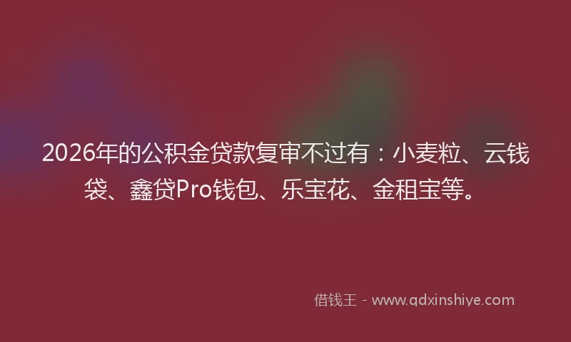 2026年的公积金贷款复审不过有：小麦粒、云钱袋、鑫贷Pro钱包、乐宝花、金租宝等。