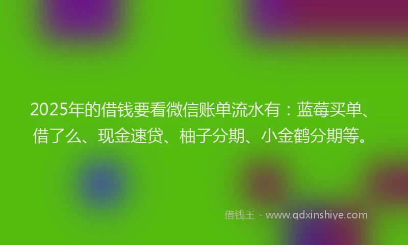 2025年的借钱要看微信账单流水有：蓝莓买单、借了么、现金速贷、柚子分期、小金鹤分期等。