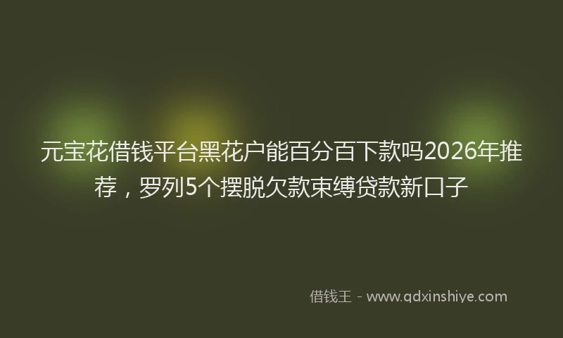 元宝花借钱平台黑花户能百分百下款吗2026年推荐，罗列5个摆脱欠款束缚贷款新口子