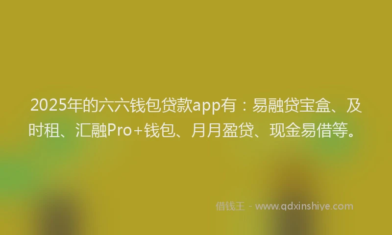 2025年的六六钱包贷款app有：易融贷宝盒、及时租、汇融Pro+钱包、月月盈贷、现金易借等。