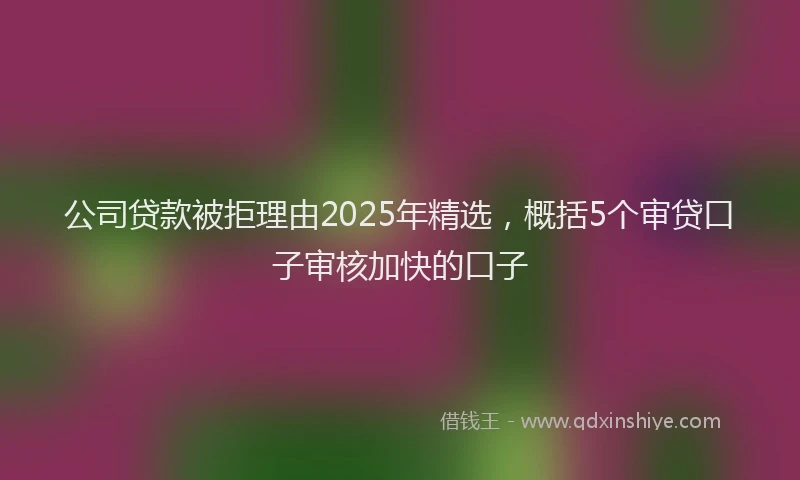 公司贷款被拒理由2025年精选，概括5个审贷口子审核加快的口子