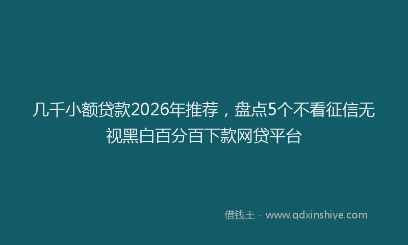 几千小额贷款2026年推荐，盘点5个不看征信无视黑白百分百下款网贷平台