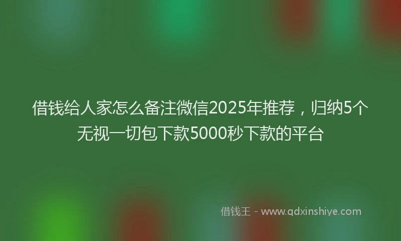 借钱给人家怎么备注微信2025年推荐，归纳5个无视一切包下款5000秒下款的平台