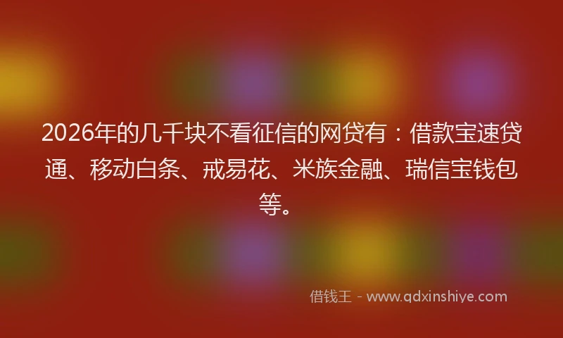 2026年的几千块不看征信的网贷有：借款宝速贷通、移动白条、戒易花、米族金融、瑞信宝钱包等。