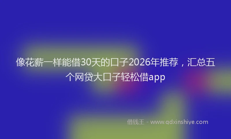 像花薪一样能借30天的口子2026年推荐,汇总五个网贷大口子轻松借app