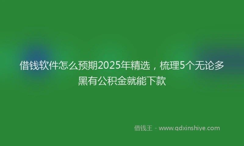 借钱软件怎么预期2025年精选，梳理5个无论多黑有公积金就能下款