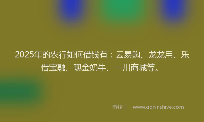 2025年的农行如何借钱有：云易购、龙龙用、乐借宝融、现金奶牛、一川商城等。