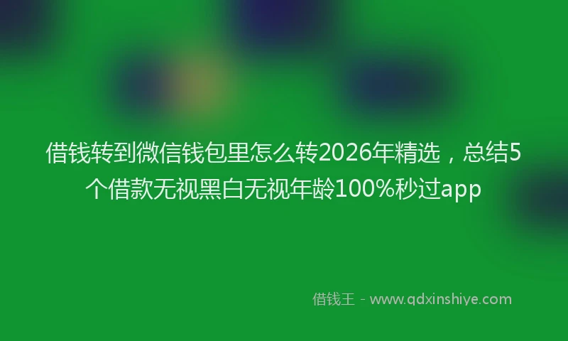 借钱转到微信钱包里怎么转2026年精选，总结5个借款无视黑白无视年龄100%秒过app