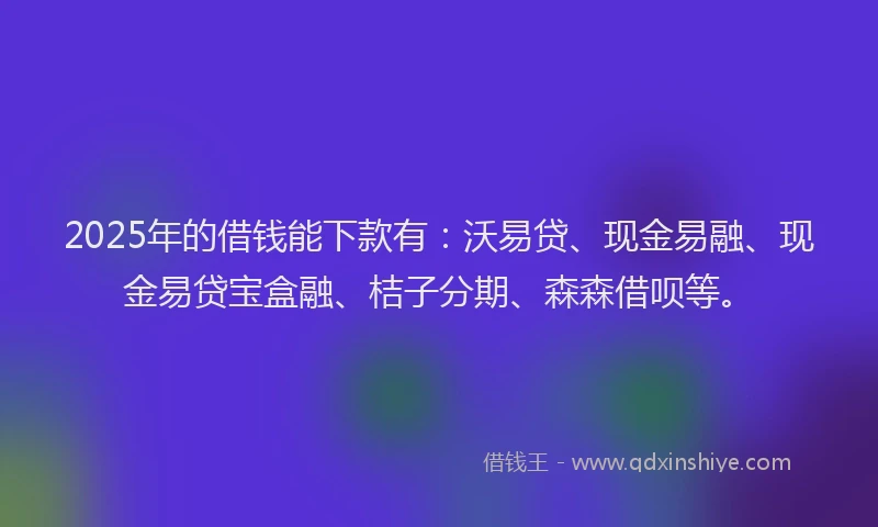 2025年的借钱能下款有：沃易贷、现金易融、现金易贷宝盒融、桔子分期、森森借呗等。