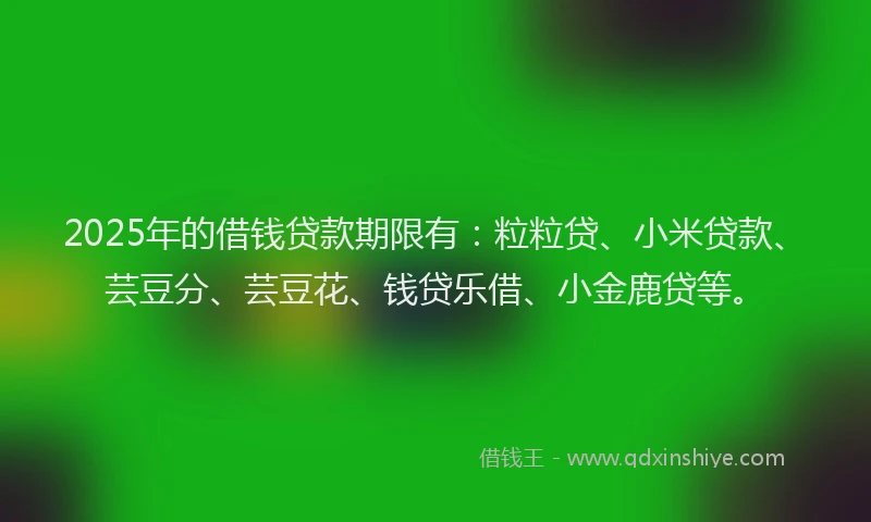 2025年的借钱贷款期限有：粒粒贷、小米贷款、芸豆分、芸豆花、钱贷乐借、小金鹿贷等。