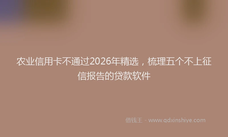 农业信用卡不通过2026年精选，梳理五个不上征信报告的贷款软件