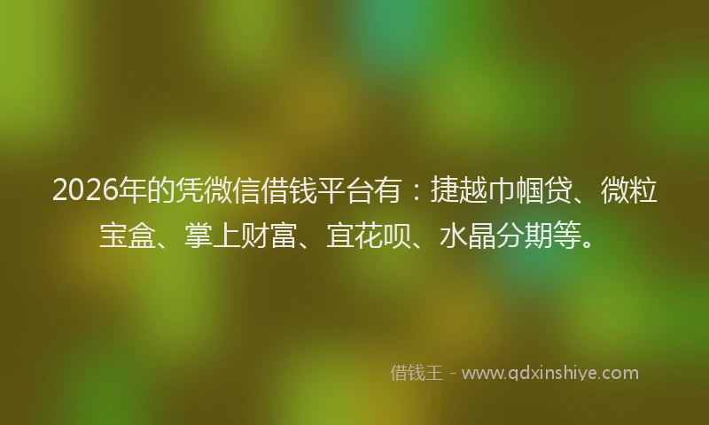 2026年的凭微信借钱平台有:捷越巾帼贷、微粒宝盒、掌上财富、宜花呗、水晶分期等。