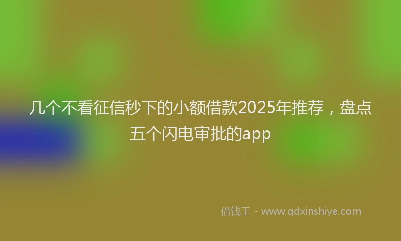 几个不看征信秒下的小额借款2025年推荐，盘点五个闪电审批的app