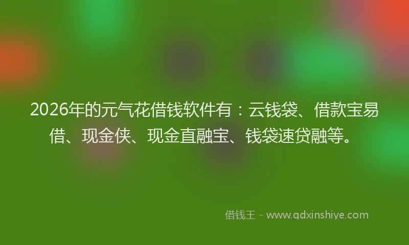 2026年的元气花借钱软件有：云钱袋、借款宝易借、现金侠、现金直融宝、钱袋速贷融等。