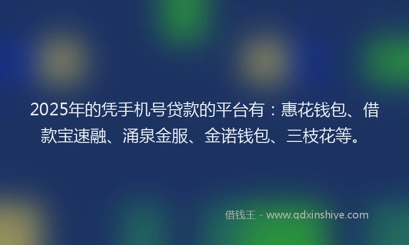 2025年的凭手机号贷款的平台有：惠花钱包、借款宝速融、涌泉金服、金诺钱包、三枝花等。