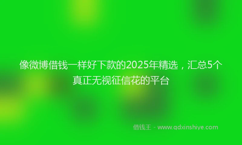 像微博借钱一样好下款的2025年精选，汇总5个真正无视征信花的平台