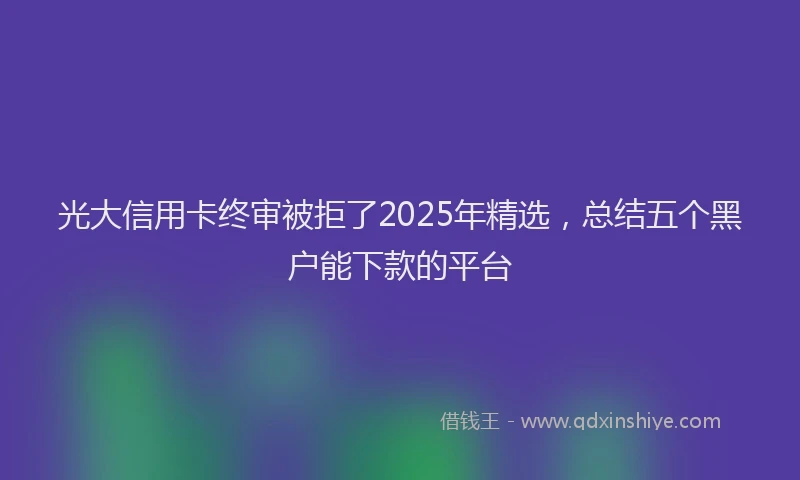 光大信用卡终审被拒了2025年精选，总结五个黑户能下款的平台