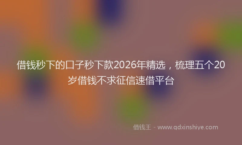 借钱秒下的口子秒下款2026年精选,梳理五个20岁借钱不求征信速借平台