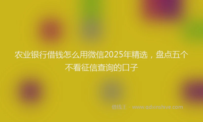 农业银行借钱怎么用微信2025年精选，盘点五个不看征信查询的口子