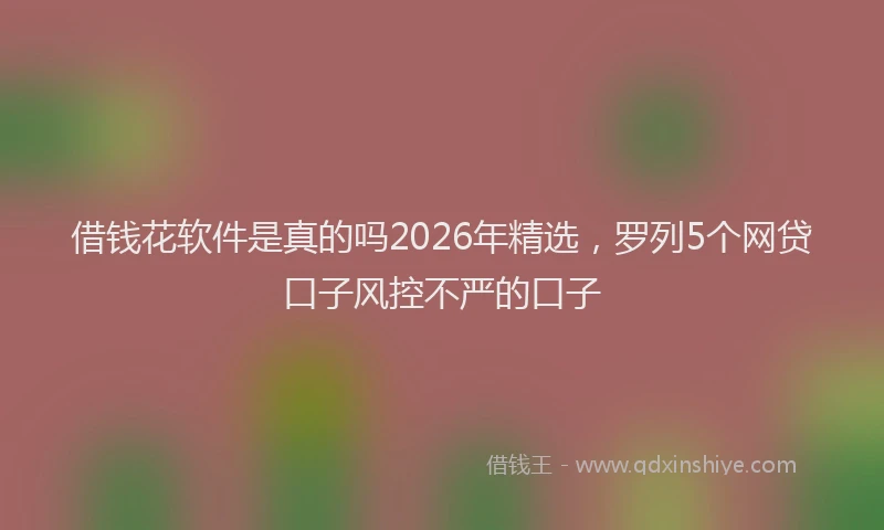 借钱花软件是真的吗2026年精选，罗列5个网贷口子风控不严的口子