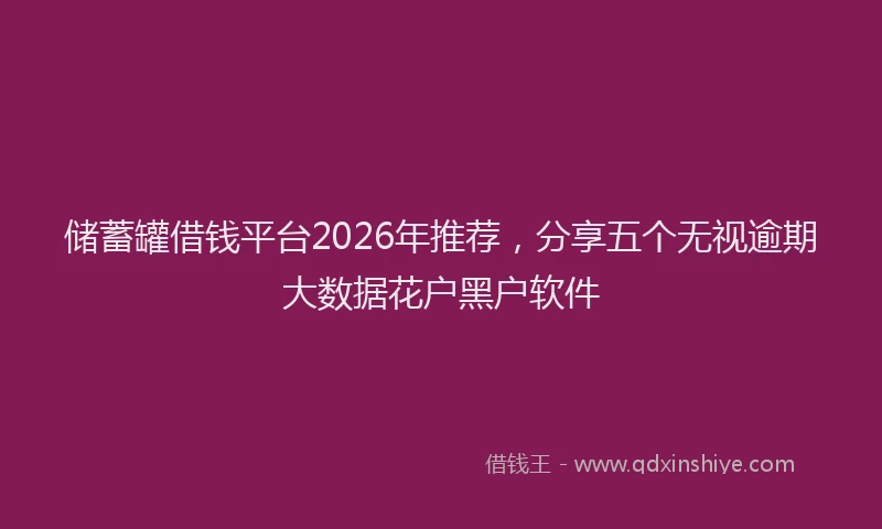 储蓄罐借钱平台2026年推荐，分享五个无视逾期大数据花户黑户软件