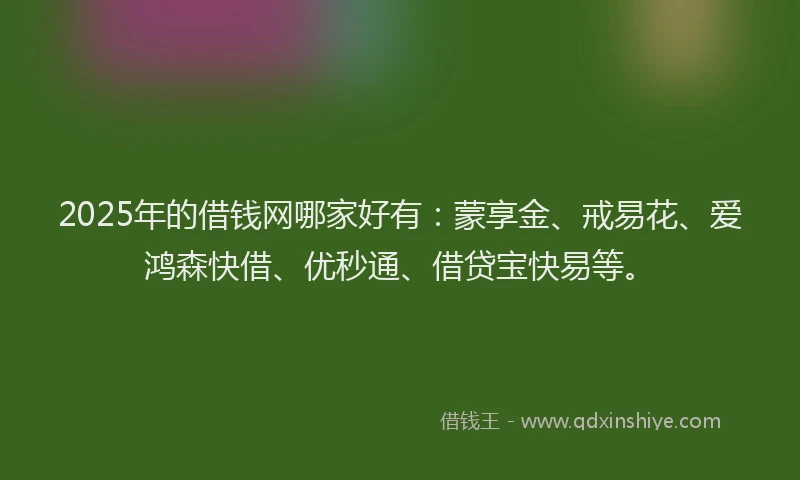 2025年的借钱网哪家好有：蒙享金、戒易花、爱鸿森快借、优秒通、借贷宝快易等。