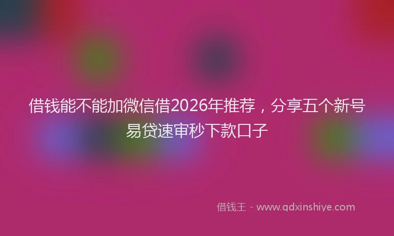 借钱能不能加微信借2026年推荐，分享五个新号易贷速审秒下款口子