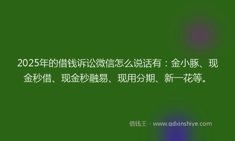 2025年的借钱诉讼微信怎么说话有：金小豚、现金秒借、现金秒融易、现用分期、新一花等。