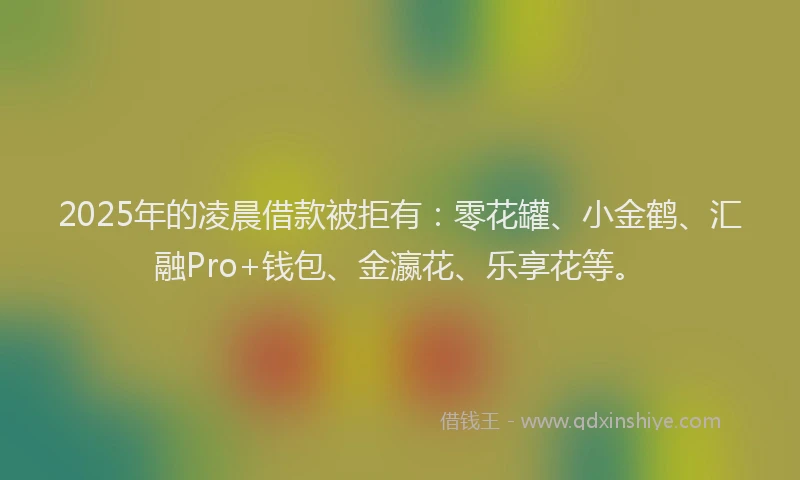 2025年的凌晨借款被拒有:零花罐、小金鹤、汇融Pro+钱包、金瀛花、乐享花等。