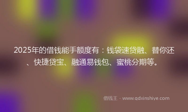 2025年的借钱能手额度有：钱袋速贷融、替你还、快捷贷宝、融通易钱包、蜜桃分期等。