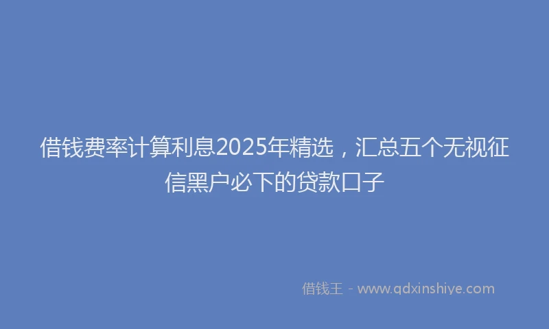 借钱费率计算利息2025年精选，汇总五个无视征信黑户必下的贷款口子