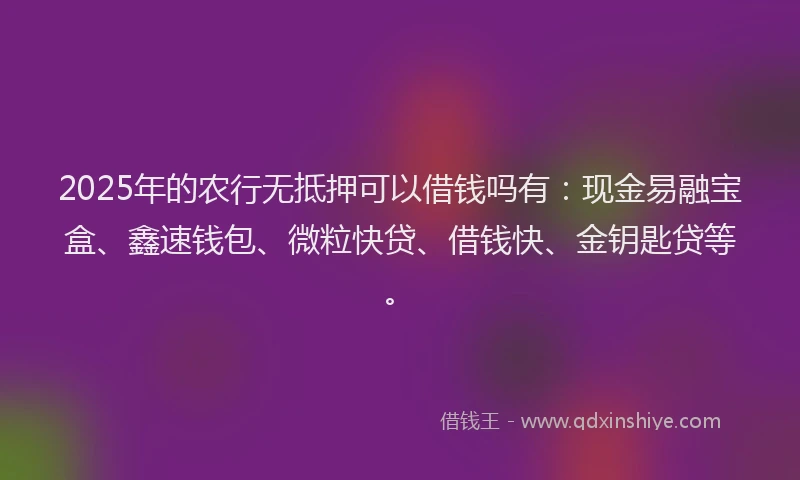 2025年的农行无抵押可以借钱吗有：现金易融宝盒、鑫速钱包、微粒快贷、借钱快、金钥匙贷等。
