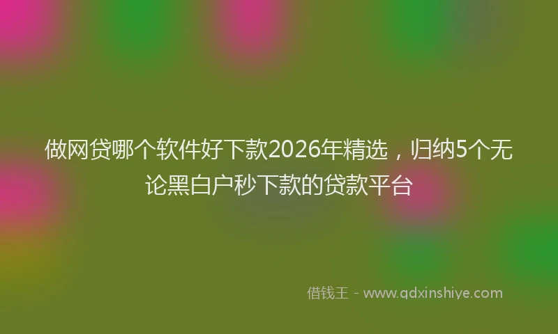 做网贷哪个软件好下款2026年精选,归纳5个无论黑白户秒下款的贷款平台