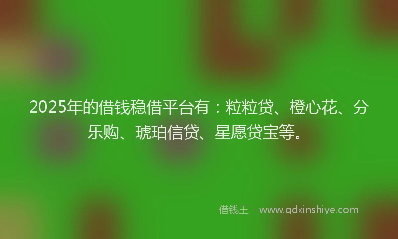 2025年的借钱稳借平台有：粒粒贷、橙心花、分乐购、琥珀信贷、星愿贷宝等。